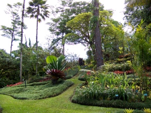 Wilson Botanical Garden